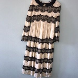 Dainty Jewells Lace Black & White Dress
